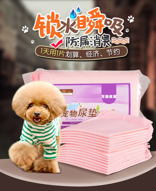 狗狗尿墊選擇指南 從泰迪到全犬種，如何挑選優質寵物隔尿用品