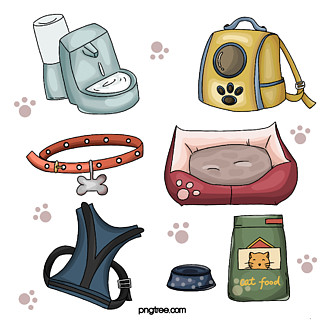 寵物用品新風尚 狗狗彩繪與貓咪用品的完美結合